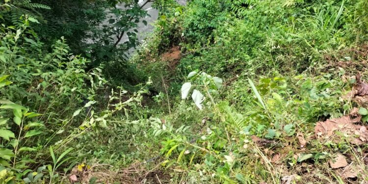 Mobil Masuk Jurang, Tim SAR Lakukan Pencarian terhadap Dua Korban di Perbatasan Merangin-Kerinci