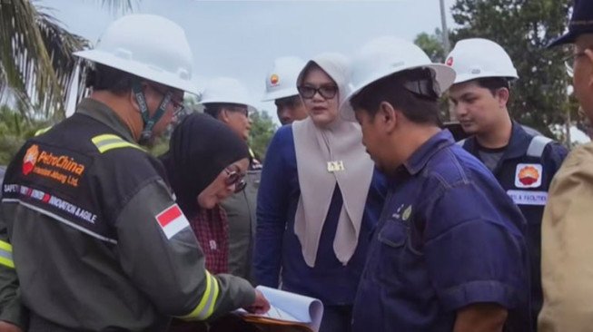Bupati Tanjabtim Dillah Tinjau Pembangunan Jalan dan Jembatan di Mendahara