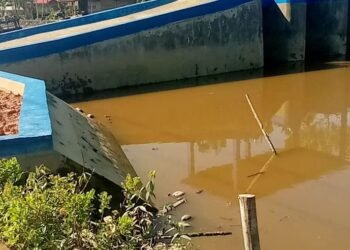 Proyek Pintu Air Rp 4 M Disorot Sejak Tender, Kini Sedang di Audit BPK RI?