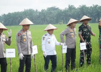 Presiden Prabowo Umumkan Indonesia Swasembada Pangan: Gubernur Al Haris Hadiri Tasyakuran Secara Virtual