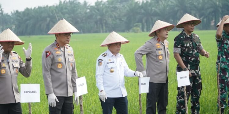 Presiden Prabowo Umumkan Indonesia Swasembada Pangan: Gubernur Al Haris Hadiri Tasyakuran Secara Virtual