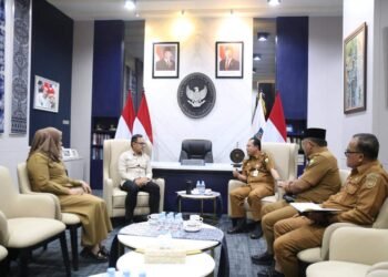 Bupati Muaro Jambi Audiensi dengan Wakil Menteri Dalam Negeri, Minta Dukungan Percepatan Pemekaran Desa