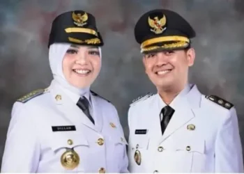 Setahun Dillah -Muslimin Pimpin Tanjabtim, Apa Prestasinya ?