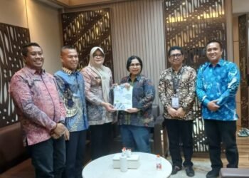 Bupati Tanjung Jabung Timur Audiensi dengan Komisi IX DPR RI Bahas Penguatan Sektor Kesehatan