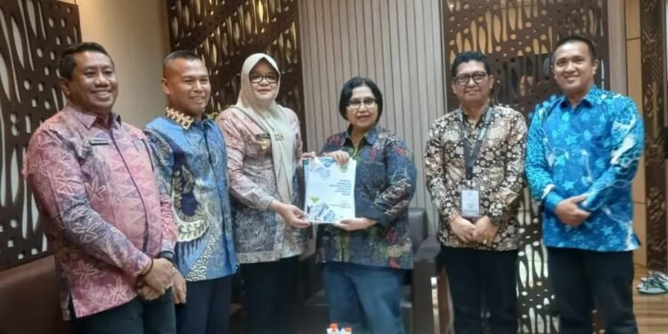 Bupati Tanjung Jabung Timur Audiensi dengan Komisi IX DPR RI Bahas Penguatan Sektor Kesehatan