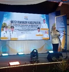 Bupati Dillah Hikmah Harap Kadin Tanjabtim jadi Motor Pembangkit Ekonomi Daerah 