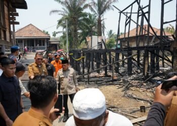 Gubernur Al Haris Tinjau Lokasi Kebakaran di Tanjung Raden, Imbau