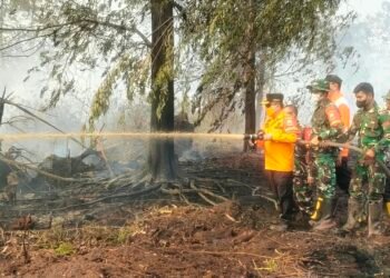 Kawasan Gambut Londerang Kembali Terbakar, Al Haris Turun ke Lokasi dan Uji Zat Pemadam Api Gambut