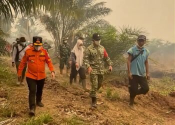 Al Haris dan Danrem Turun Langsung ke Lokasi Karhutla di Kumpeh, Angin Kencang dan Sulitnya Air Jadi Kendala