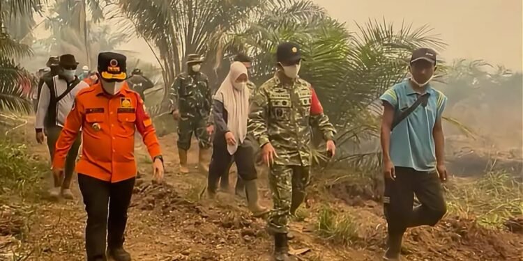 Al Haris dan Danrem Turun Langsung ke Lokasi Karhutla di Kumpeh, Angin Kencang dan Sulitnya Air Jadi Kendala