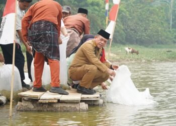 Gubernur Al Haris Restocking 25.000 Benih Ikan Nilem di Lubuk Larangan Danau Sibuk Kabupaten Bungo