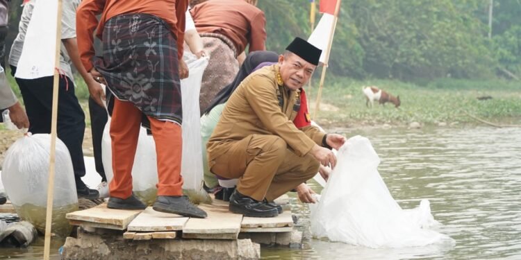 Gubernur Al Haris Restocking 25.000 Benih Ikan Nilem di Lubuk Larangan Danau Sibuk Kabupaten Bungo
