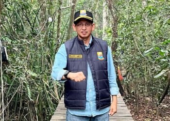 Gubernur Al Haris Tunjuk Johansyah Jadi Jubir Karhutla Jambi, Siapkan Informasi Satu Pintu untuk Publik